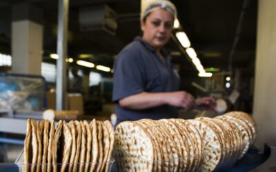 Zo helpt onze workshopdag lokale ondernemers vooruit