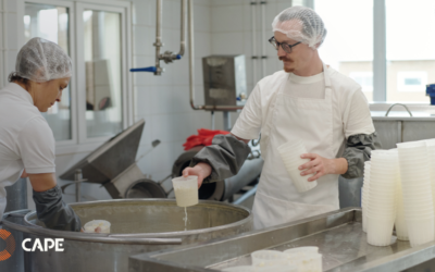 Zo helpt onze workshopdag lokale ondernemers vooruit