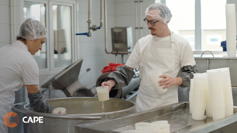 Workshop Hollandia - blog CAPE