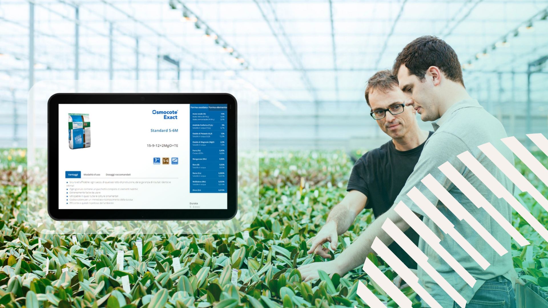 Klantcase ICL en CAPE icl specialty fertilizers agribouw bouw productie referentie cape