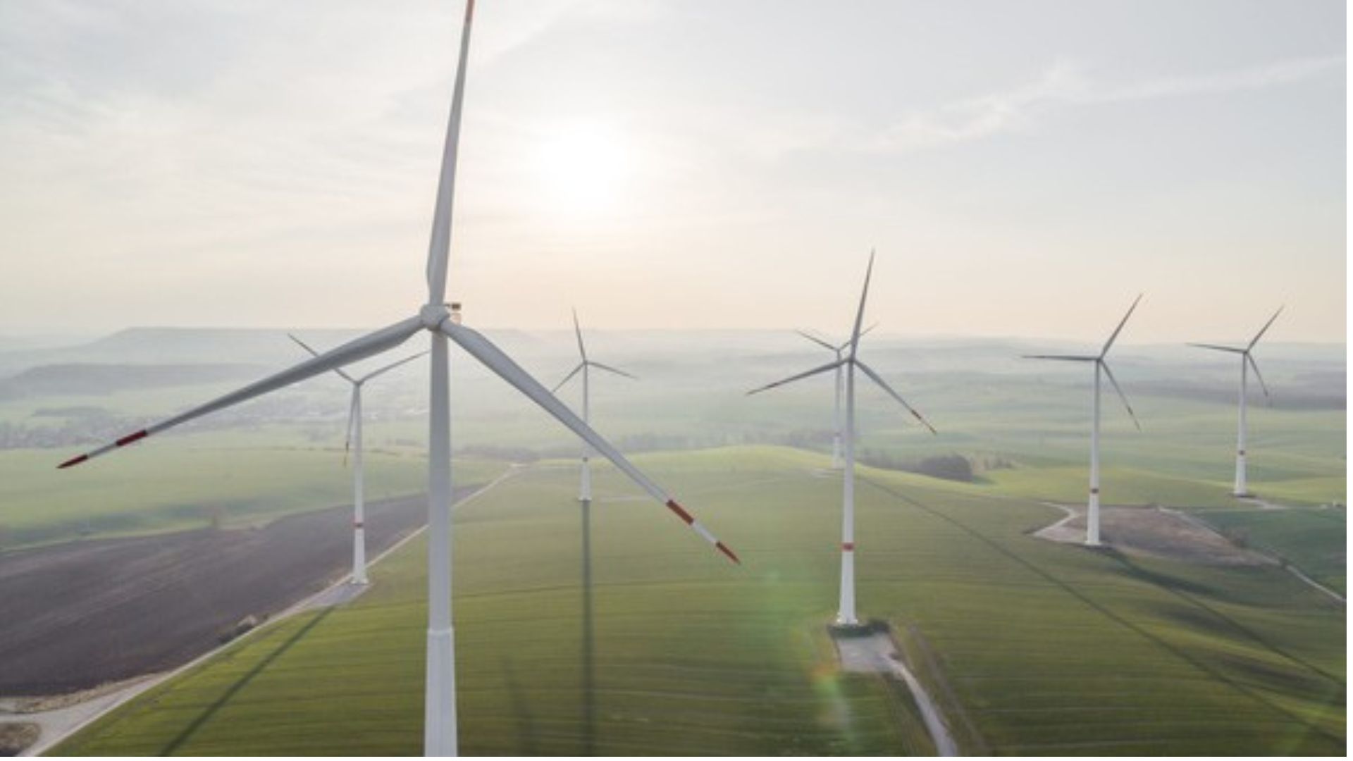 Klantcase PVNED emagiz en CAPE integraties datauitwisseling