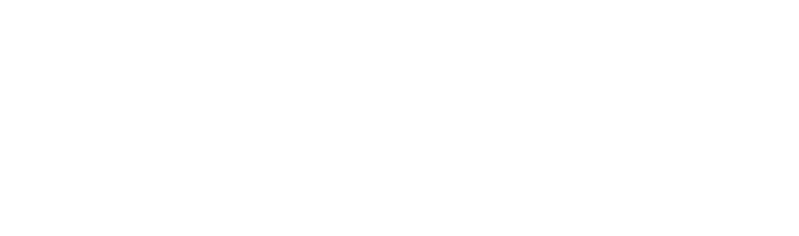 mendix partner cape